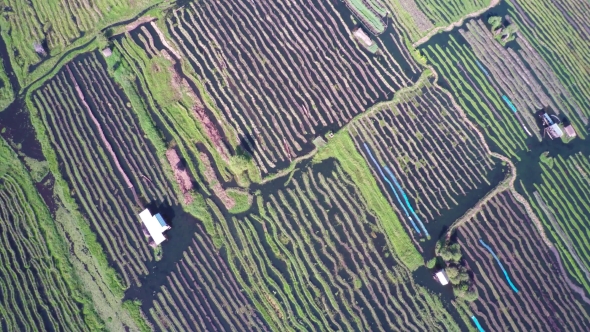 Flying Over Floating Gardens on Inle Lake, Myanmar alt