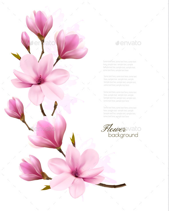 Nature Background With Blossom Branch of Pink Flowers - Flowers & Plants Nature