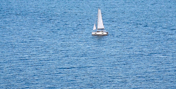 Sail In The Sea