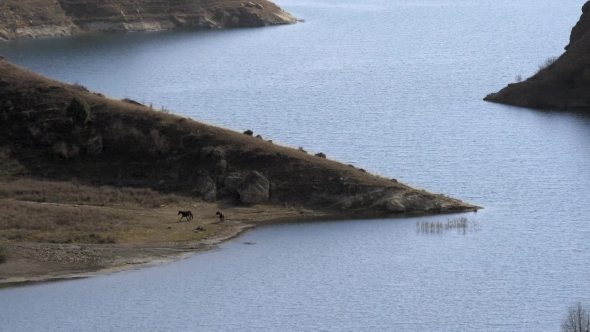Horses at a Watering-place on a Mountain Lake
