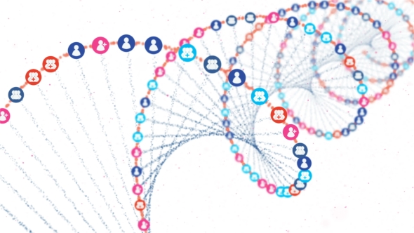 Social Network DNA Gene