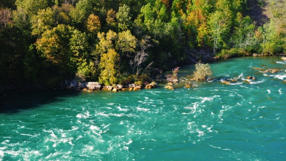 Green Forest and the Niagara River. Summer Landscape with a Beautiful River alt