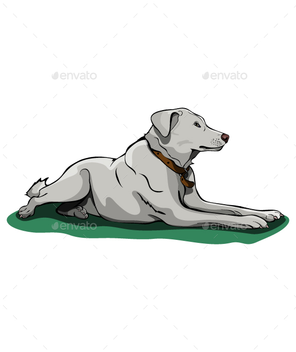 Sad Dog - Animals Characters