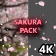 Sakura - VideoHive Item for Sale