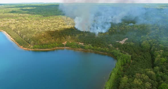 Aerial Panorama View of Smoke in the Forest Fire Burning Trees Near Pond alt