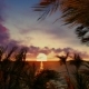 Sunset in the Tropics - VideoHive Item for Sale