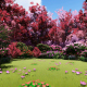 Spring Forest - VideoHive Item for Sale