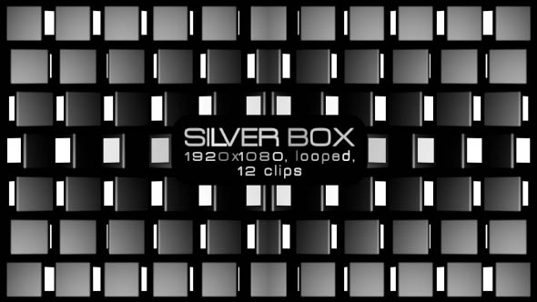 Silver Box VJ Pack alt