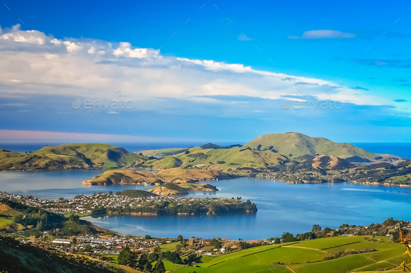 Dunedin town and bay as seen from the hills above - Stock Photo - Images