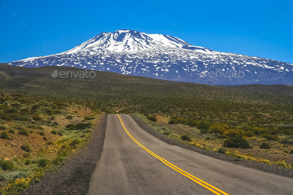 Ruta Quarenta road through Argentina - Stock Photo - Images