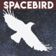 space_bird