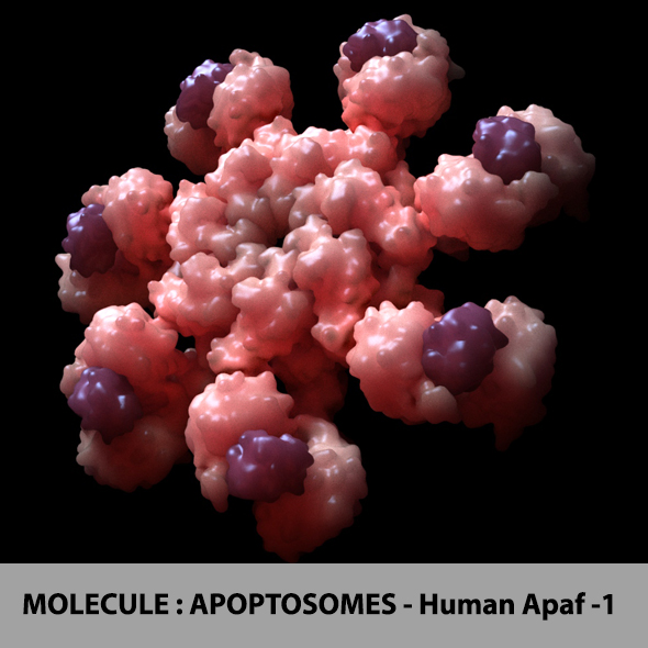 Molecule : Apopstomes - 3Docean 21389748