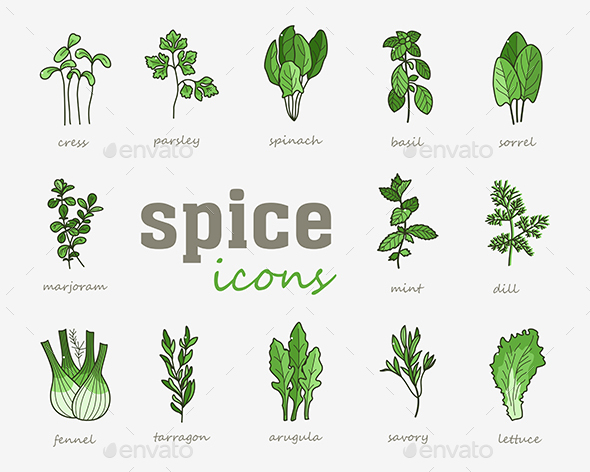 Greenery vector icon set. Vegetable green leaves - Food Objects