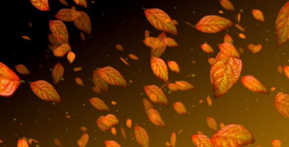 Particular Background 232 alt