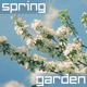 Spring Garden - VideoHive Item for Sale