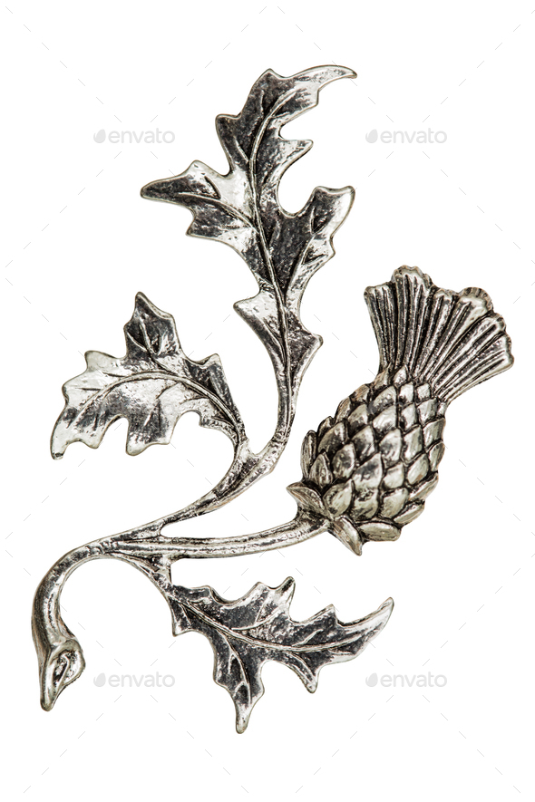 Filigree in the form of a thistle flower, decorative element for - Stock Photo - Images