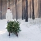 A Little Girl Is Carrying a Christmas Tree on a Wooden Sled. Goes Through the Snow-covered Forest - VideoHive Item for Sale