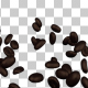 Coffee Beans Falling on Table - VideoHive Item for Sale