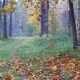 Beautiful Aurumn Forest and Falling Leaves - VideoHive Item for Sale