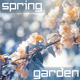 Blossoming Tree in Spring Garden - VideoHive Item for Sale