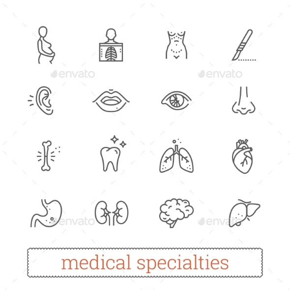 Medicine Specialties, Organ Systems Linear Icons. - People Characters