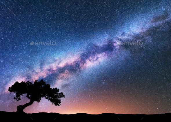 Milky Way with alone old crooked tree. Space Stock Photo by den-belitsky