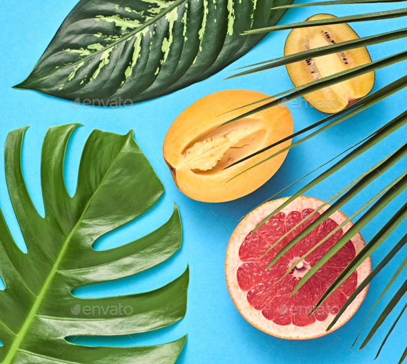 Tropical Palm Leaves. Bright Summer Set. Vegan - Stock Photo - Images