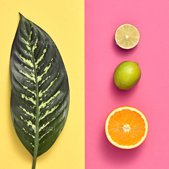 Summer - Stock Photo - Images