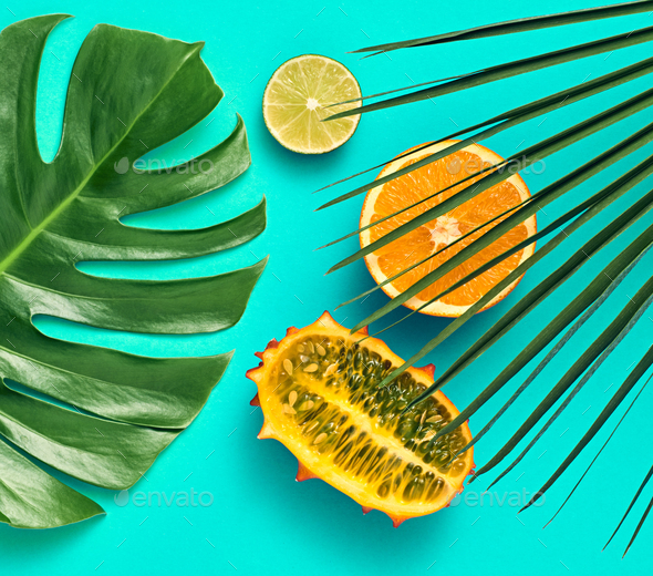 Tropical Palm Leaves. Bright Summer Set. Vegan - Stock Photo - Images