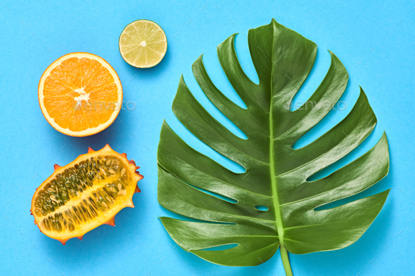 Tropical Palm Leaf, Fruits.Bright Summer Set.Vegan - Stock Photo - Images