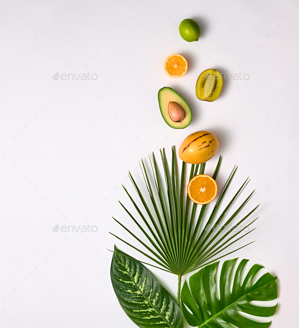 Tropical - Stock Photo - Images