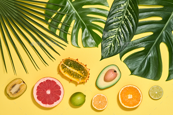 Palm Leaves - Stock Photo - Images