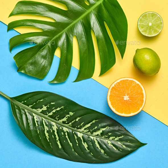 Tropical - Stock Photo - Images