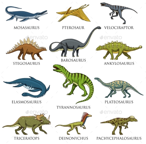 Dinosaurs Set - Animals Characters