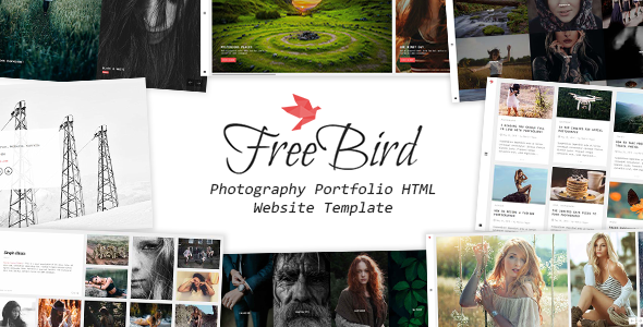 FreeBird - Photography - ThemeForest 19180343