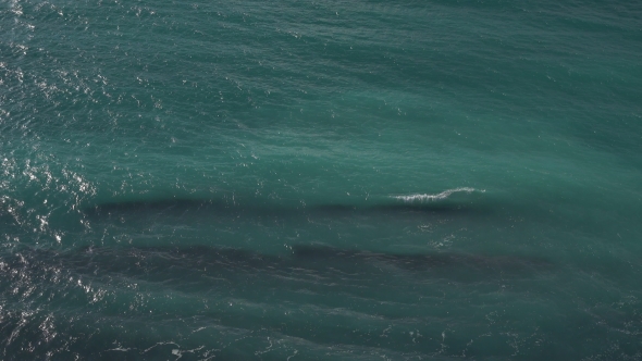 Water Waves in the Ocean