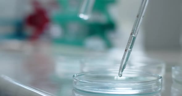 Inside the Laboratory the Substance is Pipetted Into a Petri Dish alt