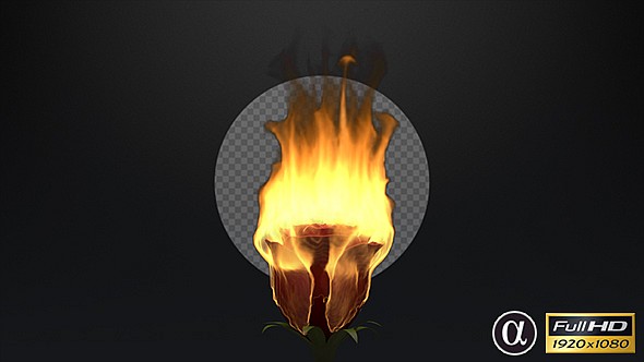3D Rose Flower On Fire