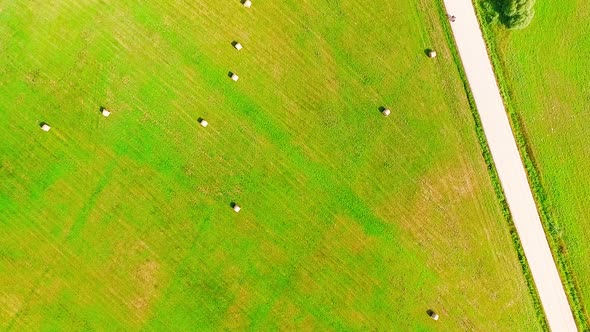 Cyclist Stops While Cycling In Lithuanian Countryside alt