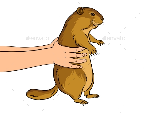 Groundhog in Hands Pop Art Vector Illustration - People Characters