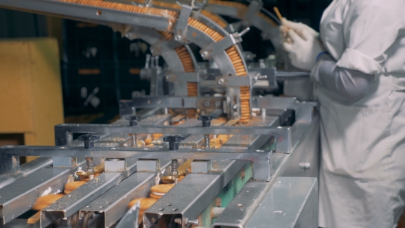 Cookies Are Going Along the Conveyor and Then Are Getting Dropped to Another Belt alt