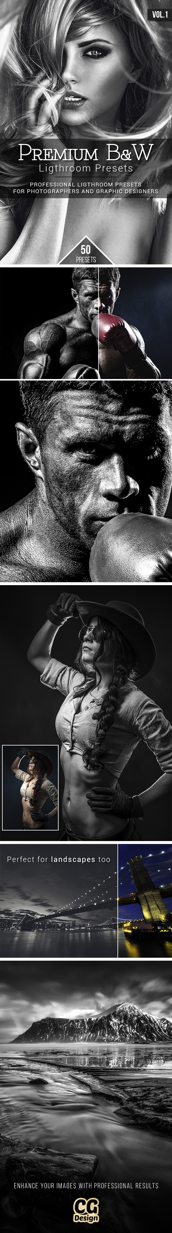 Premium B&W Vol.1 - 50 Lightroom Presets - Lightroom Presets Add-ons
