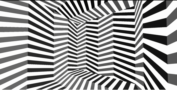 Zebra Illusion Room