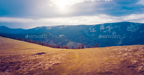 Mountain landscape with forest and blue sky - Stock Photo - Images