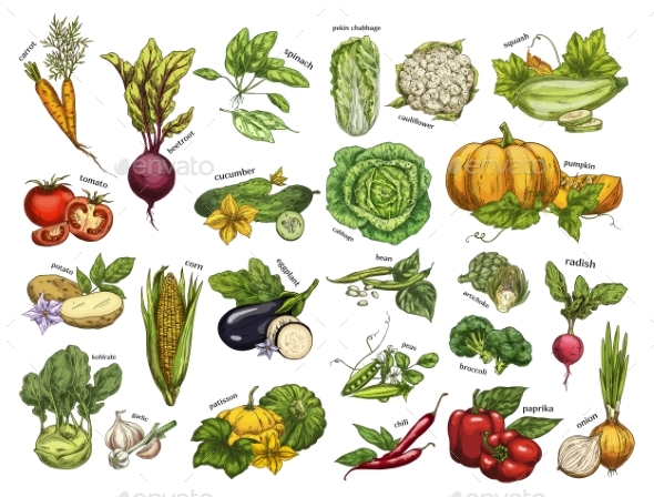 Isolated Set of Vegetables - Food Objects