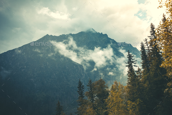 Mysterious landscape. Fog falling on the Tatras. - Stock Photo - Images
