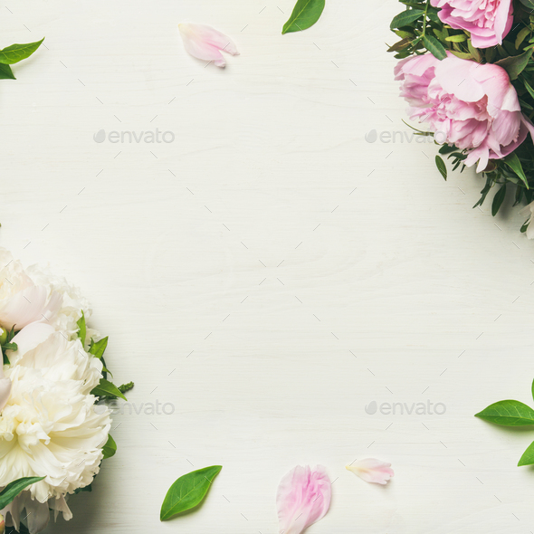 Flat-lay of peony flowers over white background, copy space - Stock Photo - Images