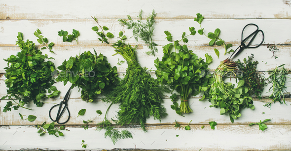 Various fresh green kitchen herbs - Stock Photo - Images
