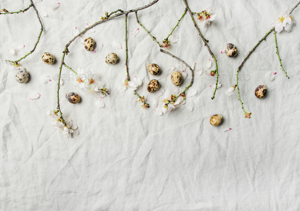 Easter background with eggs and Spring almond blossom flowers - Stock Photo - Images