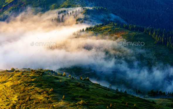Picturesque summer landscape in sunny day - Stock Photo - Images